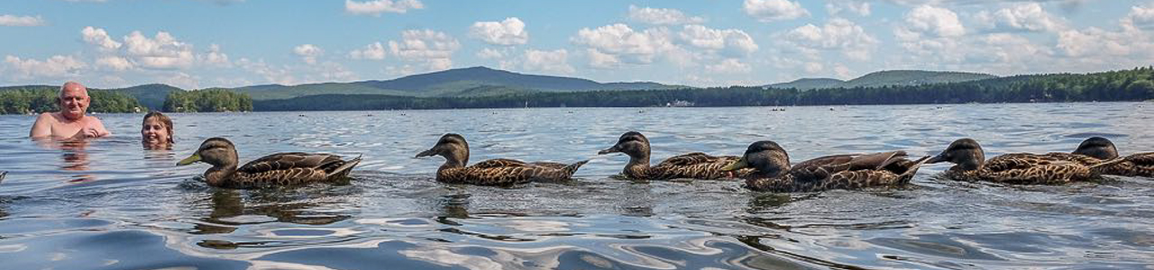 On Exhibit: Museums in the Granite State - New Hampshire Magazine